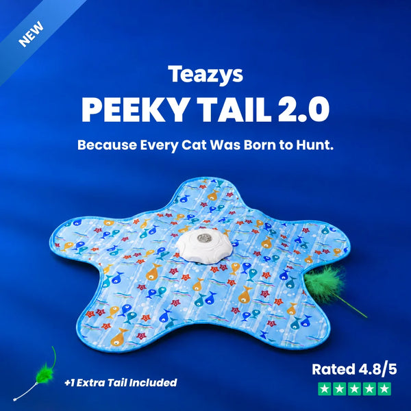 Cat playing with HuntTail Pro