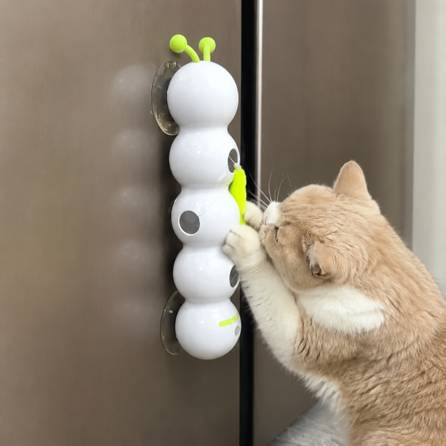 WallPrey™ Interactive Hunting Toy for Cats