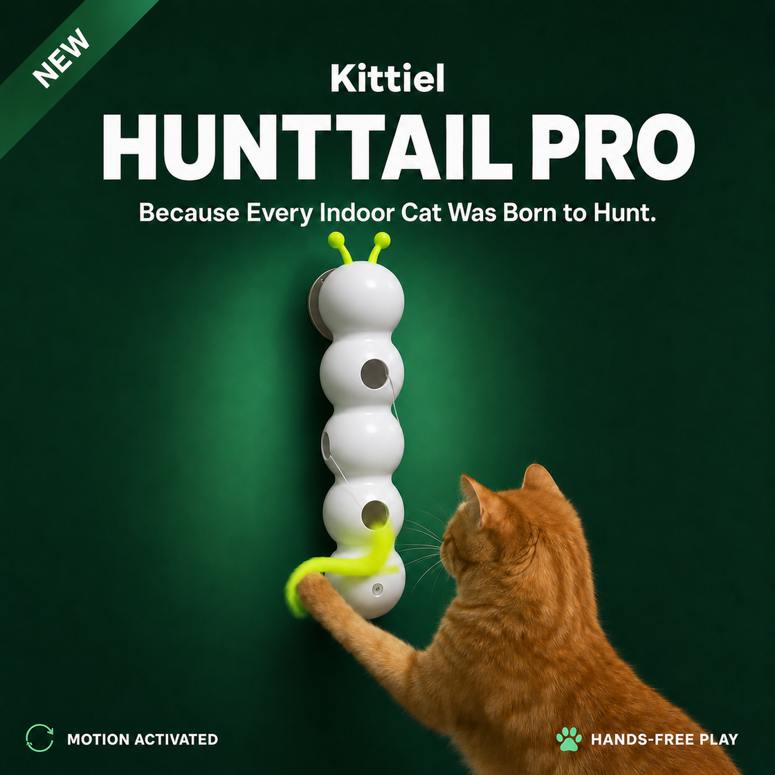 Indoor Cat Hunting Enrichment