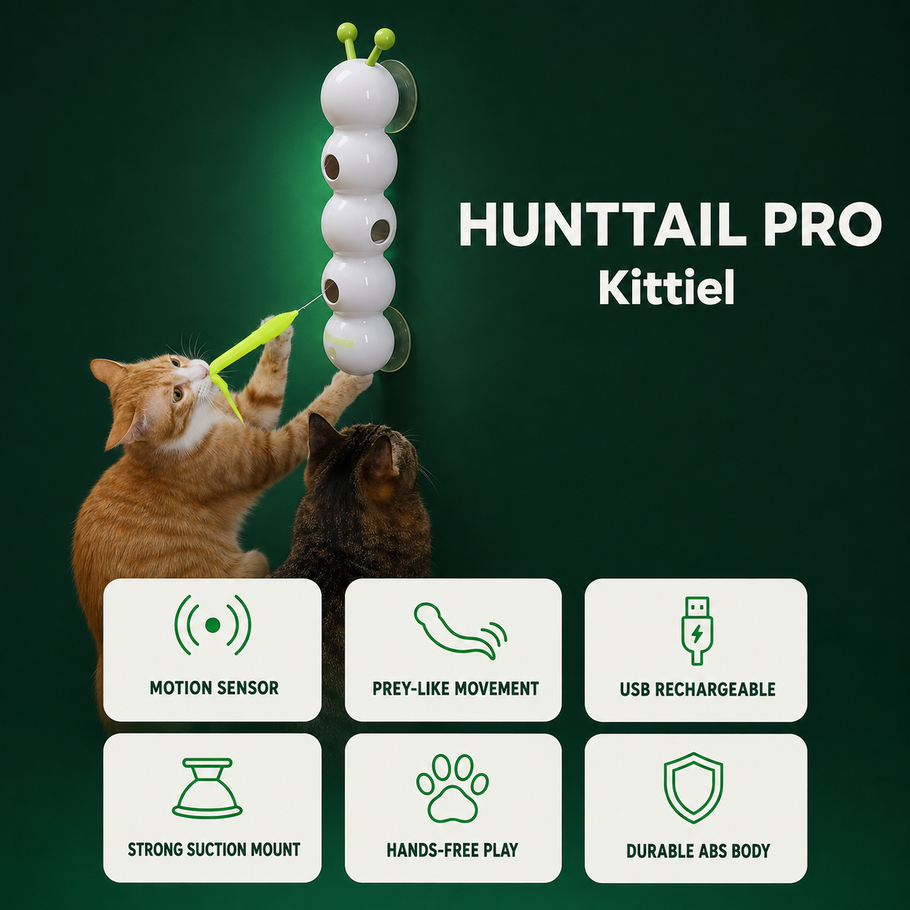 Cat playing with HuntTail Pro