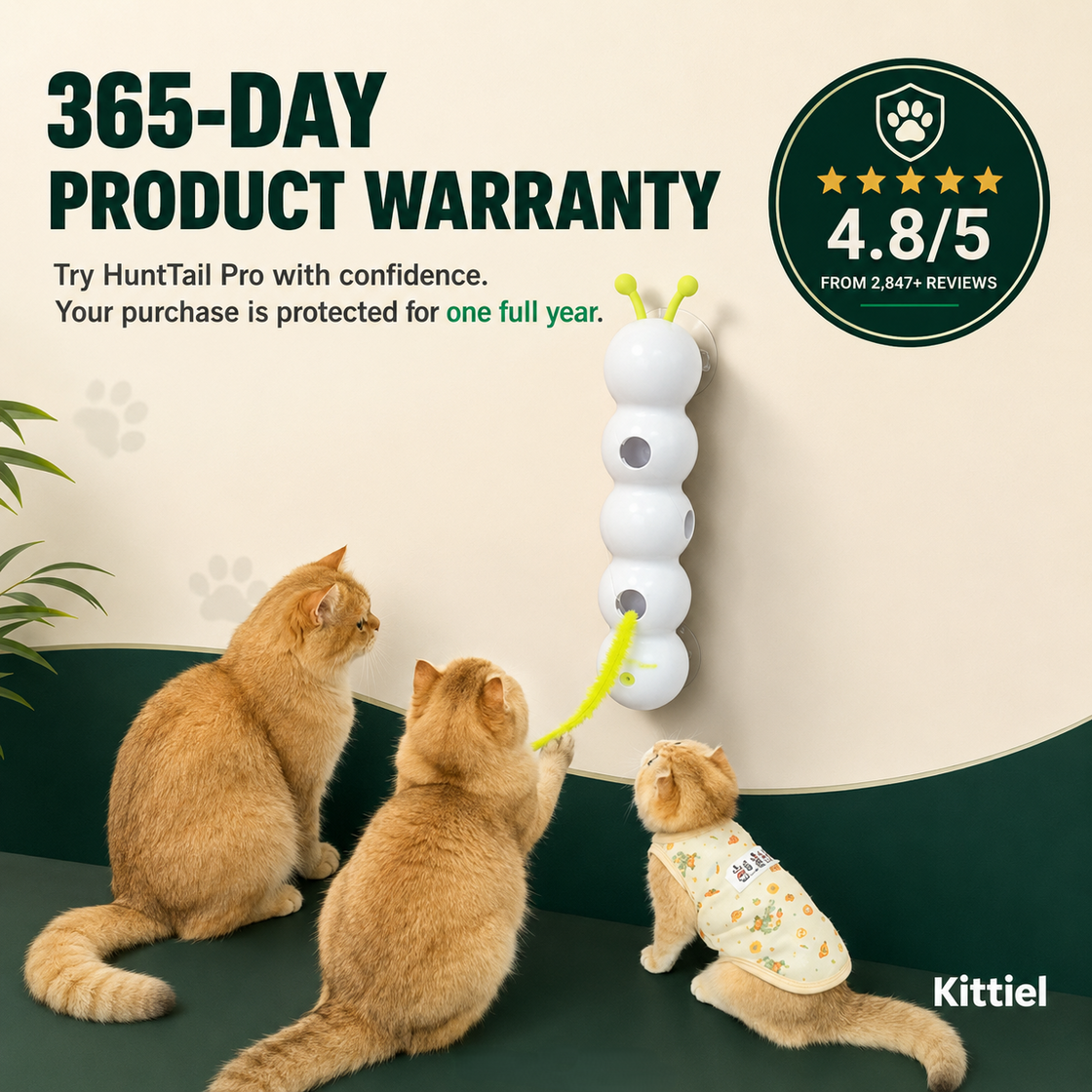 Indoor Cat Hunting Enrichment