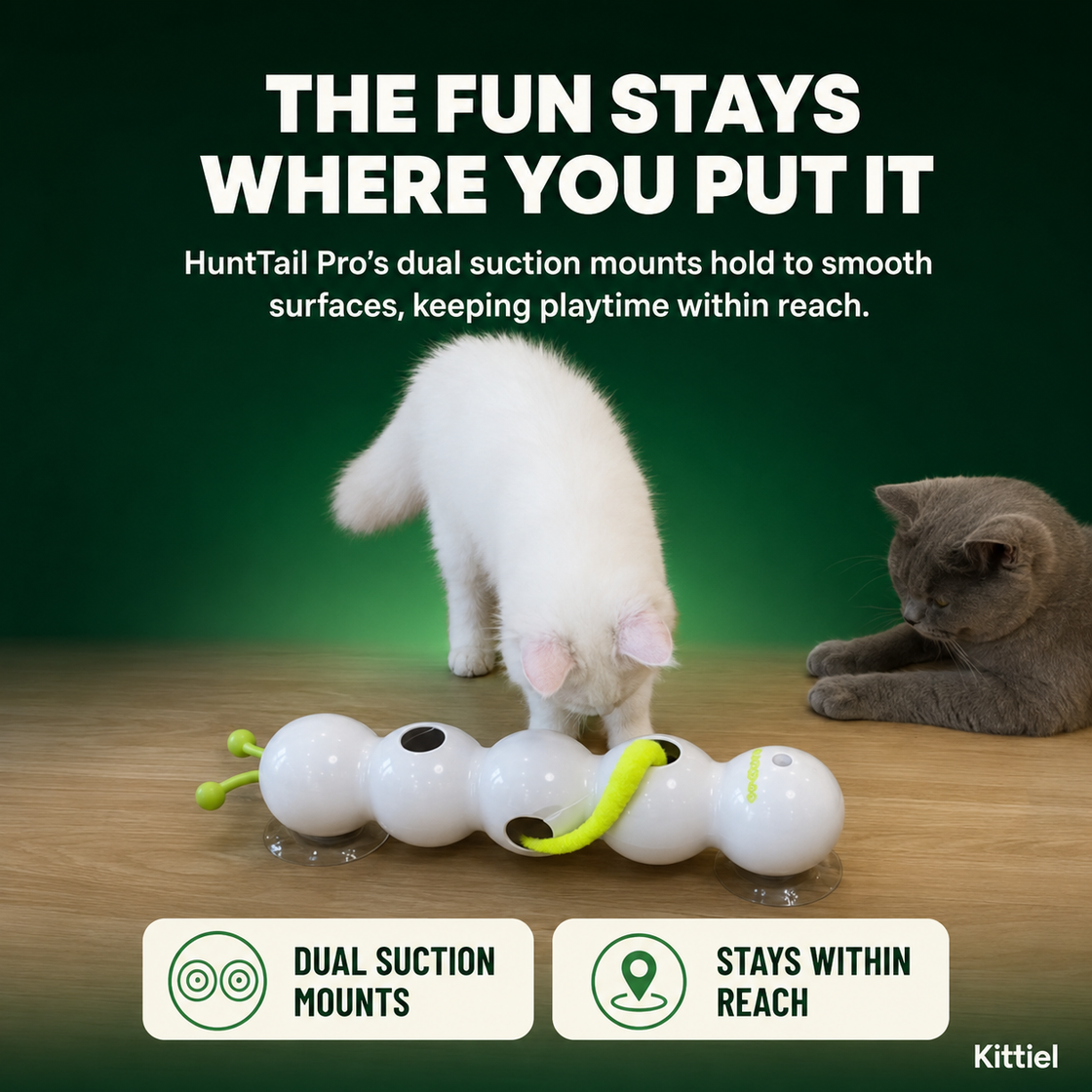 Indoor Cat Hunting Enrichment