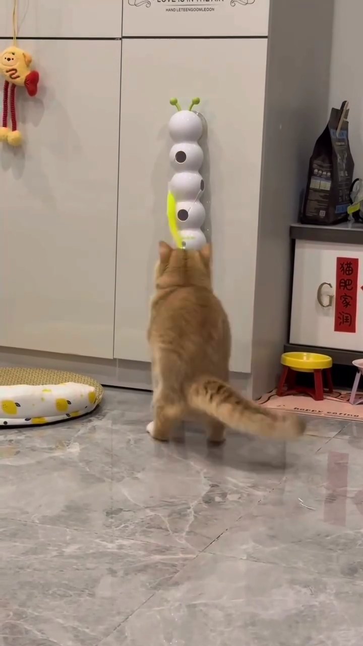 Cat playing with HuntTail Pro