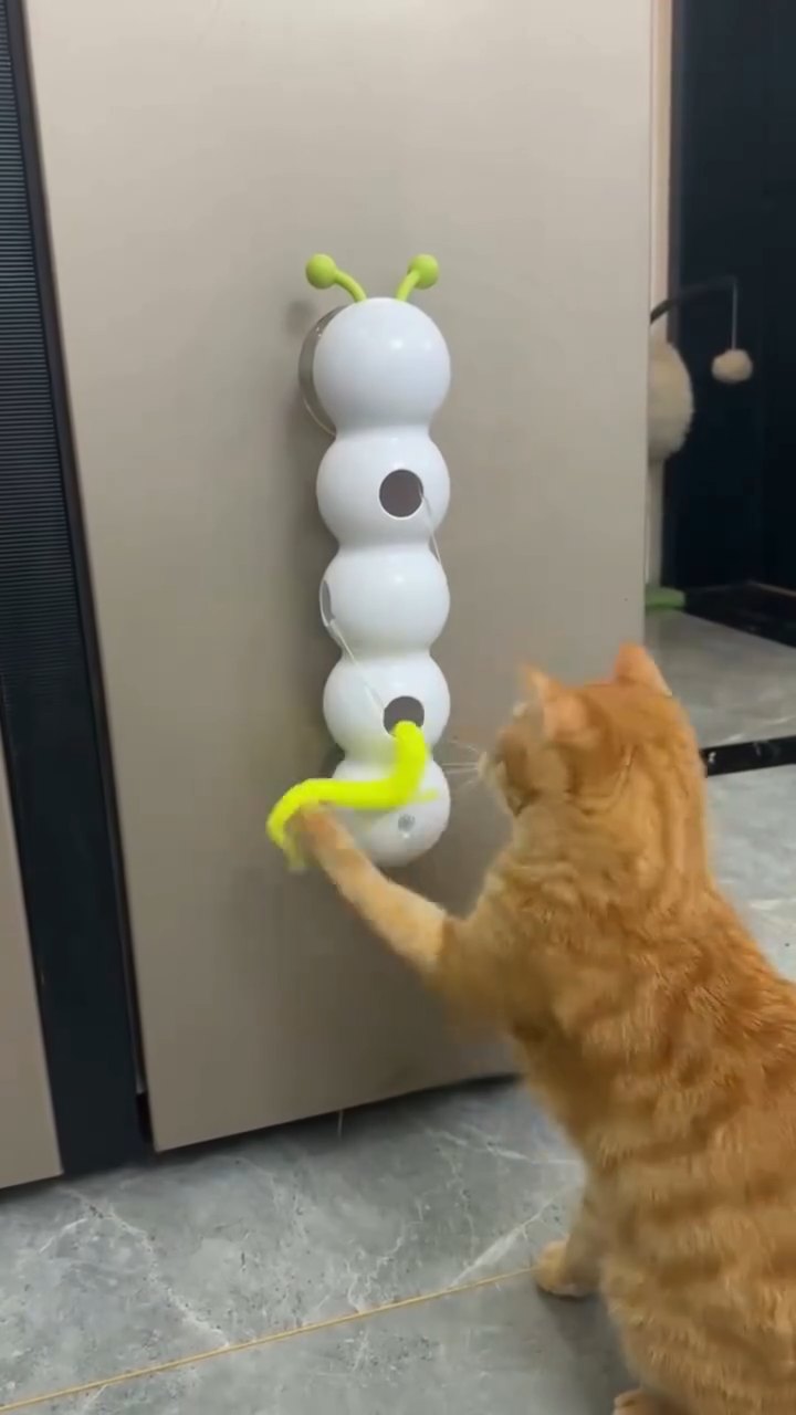 Cat playing with HuntTail Pro