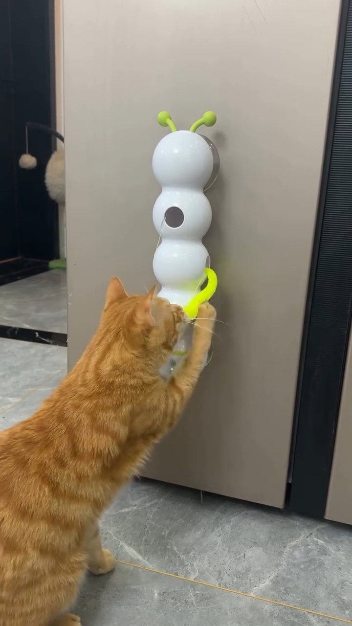 Cat playing with HuntTail Pro