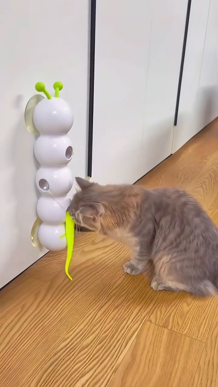 Cat playing with HuntTail Pro