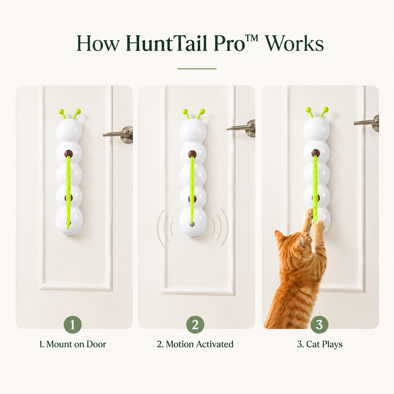 How to set up HuntTail Pro — mount on door, motion activated, cat plays