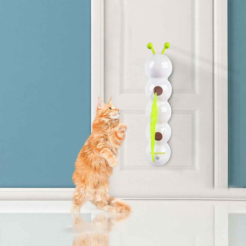 Real cat playing with HuntTail Pro